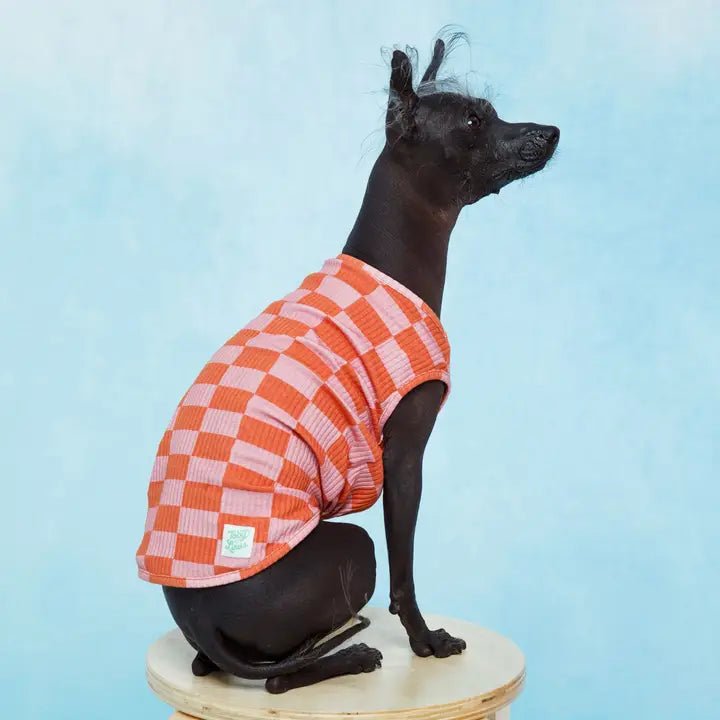 Marmalade Pet Tank with Matching Human Dress Tunics Satin smooth