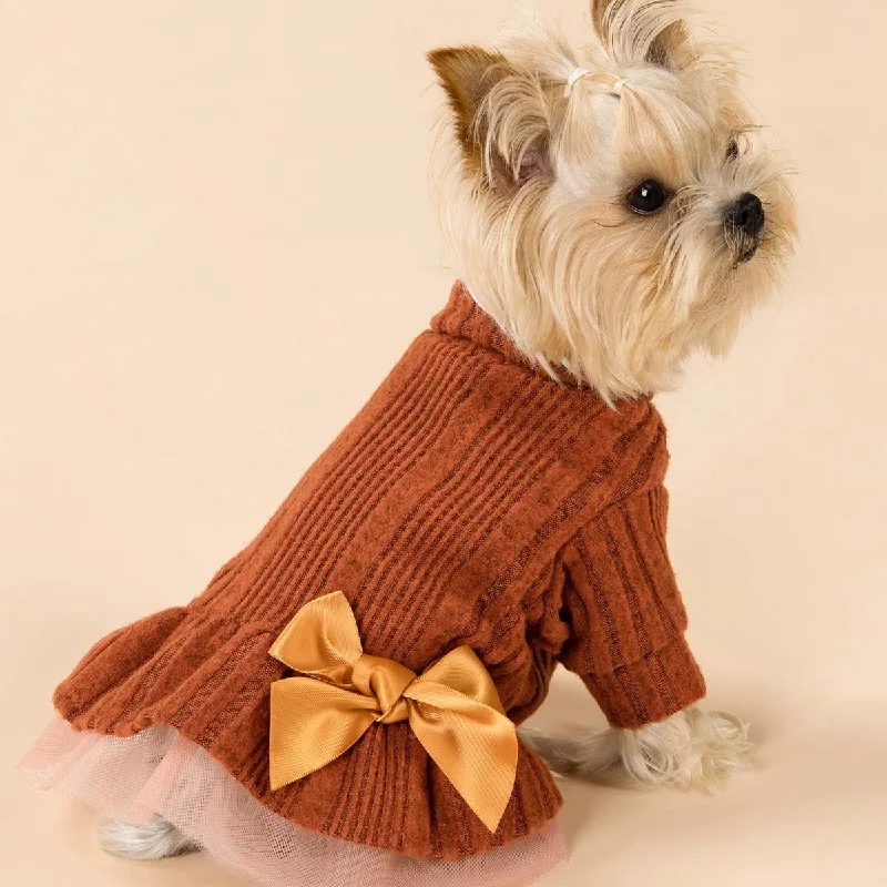 Turtleneck Tulle Knitted Fall Dress Tunics Trendy modern